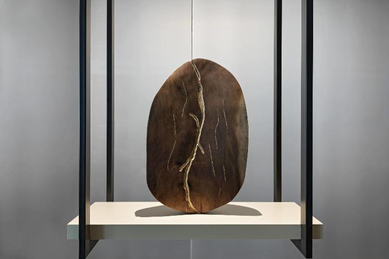 فندق Residence Inn San Jose Escazu