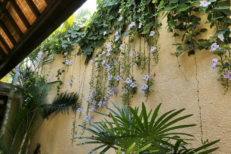 Hotel The Sanyas Suite Seminyak