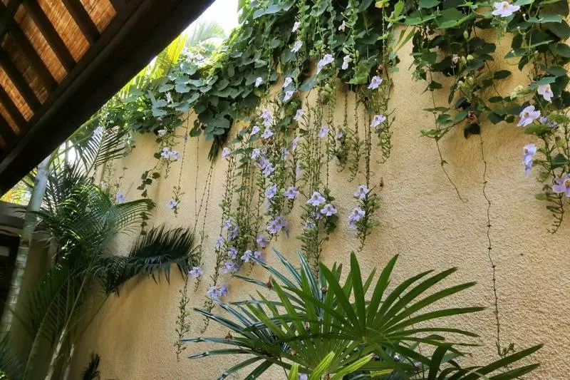 Hotel The Sanyas Suite Seminyak