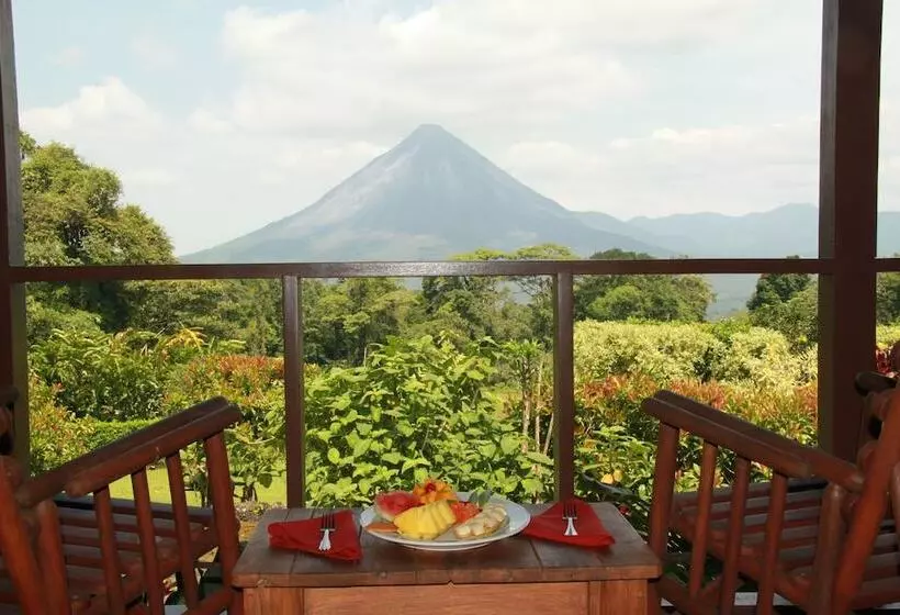 Отель Arenal Lodge