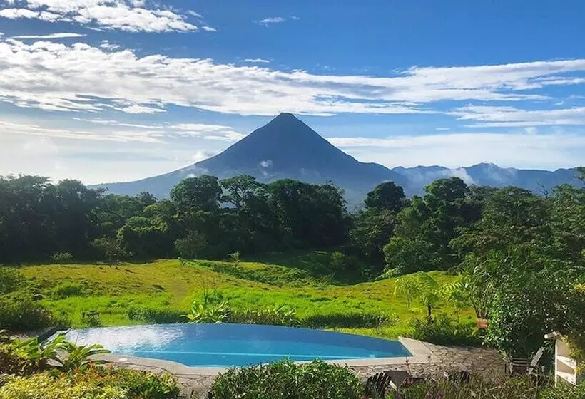 Отель Arenal Lodge