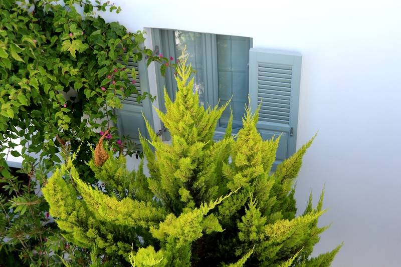 Astro Palace Hotel & Suites