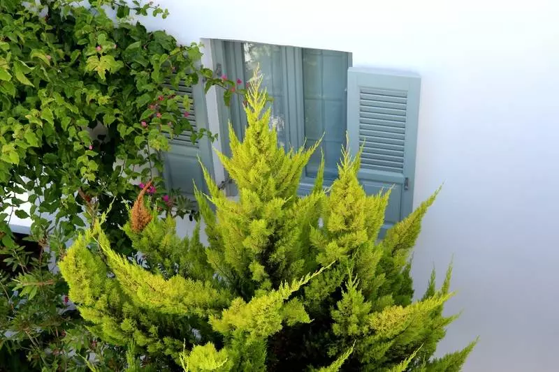 Astro Palace Hotel & Suites