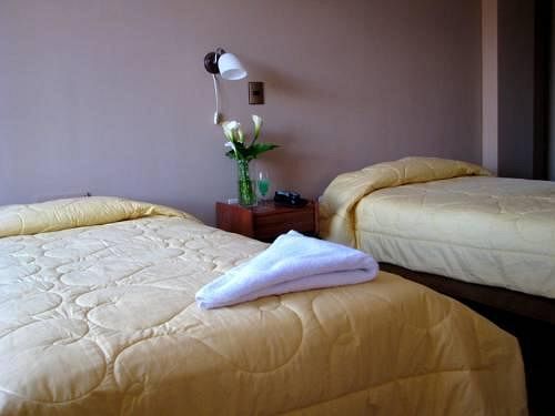 فندق Chakana Hostel