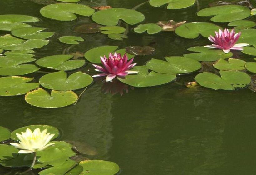 Hotel Dormy Inn Kurashiki Natural Hot Spring