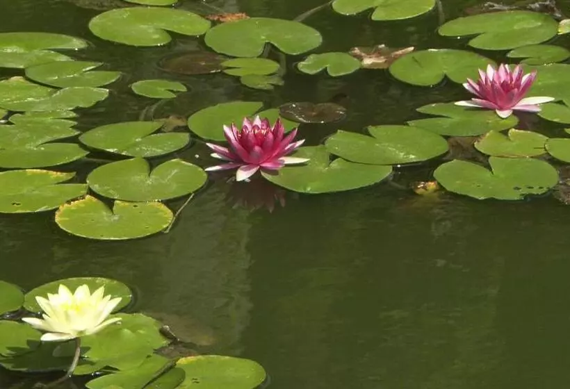 酒店 Dormy Inn Kurashiki Natural Hot Spring