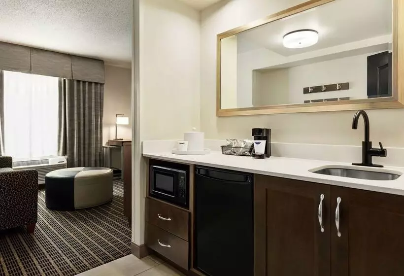 هتل Hampton Inn & Suites Greenville Downtown Riverplace