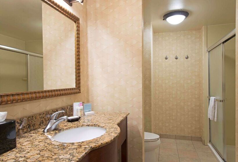 Отель Hampton Inn And Suites Indianapolis Fishers