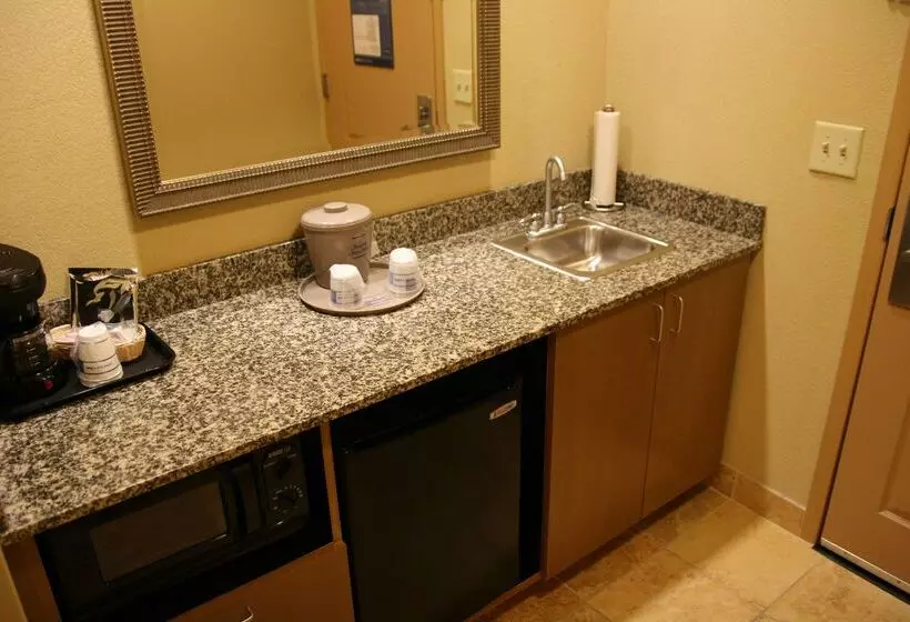 هتل Hampton Inn & Suites Mobile Providence Park/airport