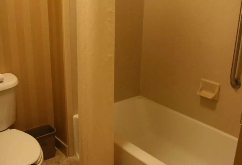 هتل Hampton Inn & Suites Mobile Providence Park/airport