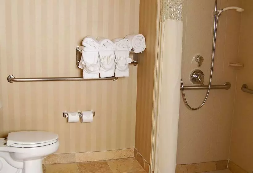 هتل Hampton Inn & Suites Mobile Providence Park/airport