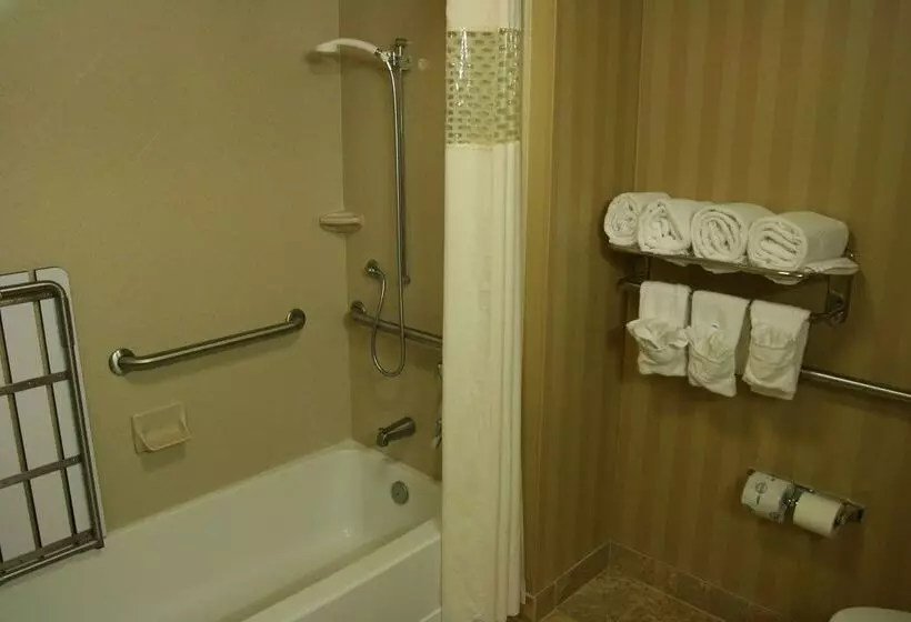 هتل Hampton Inn & Suites Mobile Providence Park/airport