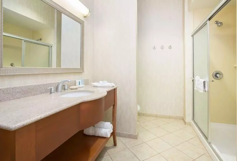 Отель Hampton Inn Santa Rosa