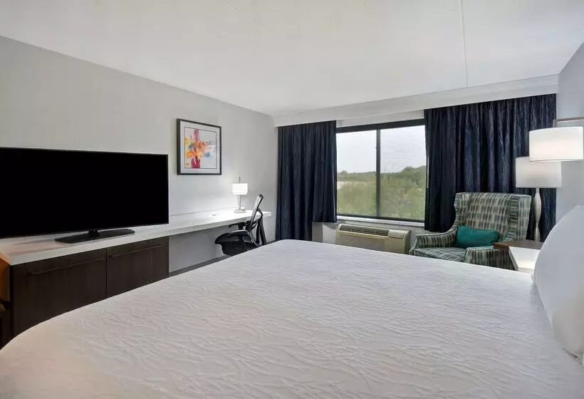 هتل Hilton Garden Inn Detroit Metro Airport