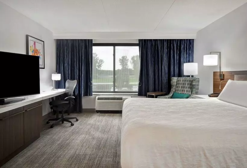 هتل Hilton Garden Inn Detroit Metro Airport