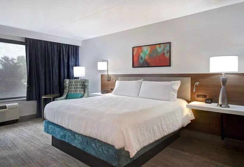 هتل Hilton Garden Inn Detroit Metro Airport