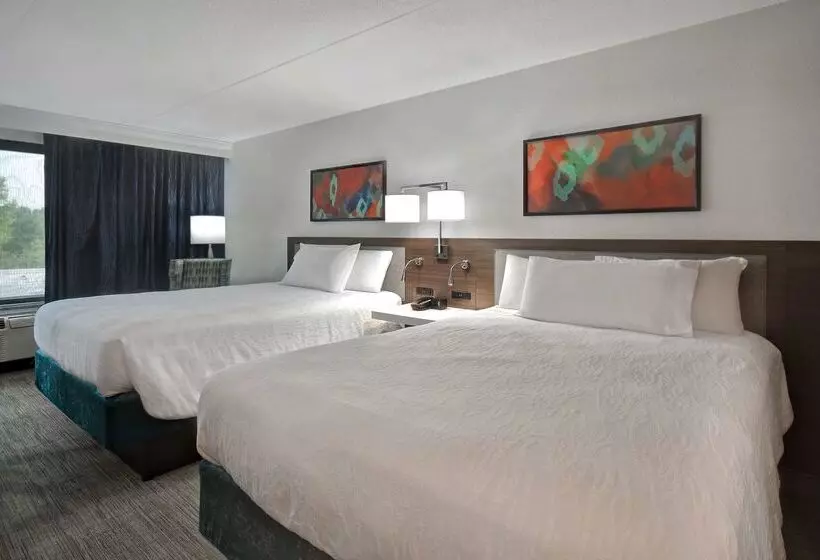 هتل Hilton Garden Inn Detroit Metro Airport