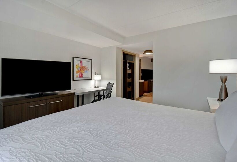 فندق Hilton Garden Inn Detroit Metro Airport