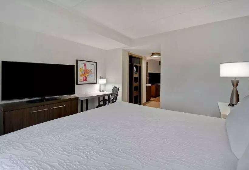 هتل Hilton Garden Inn Detroit Metro Airport