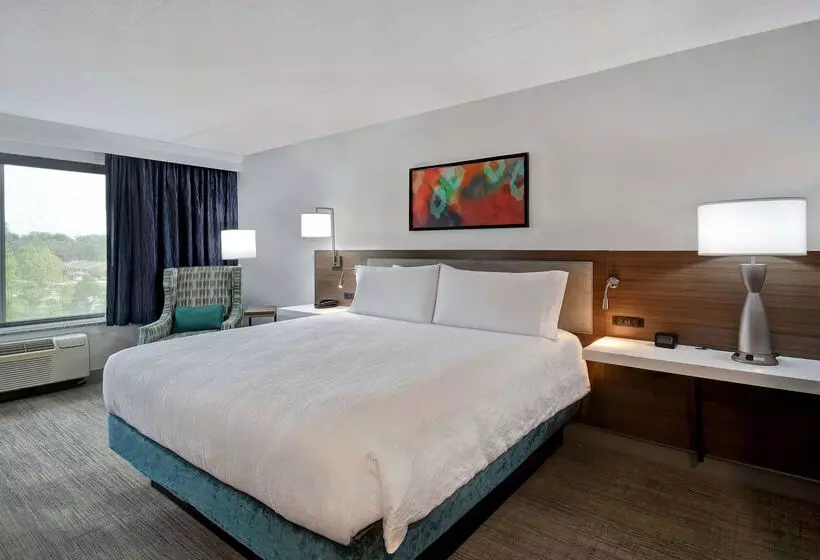 هتل Hilton Garden Inn Detroit Metro Airport