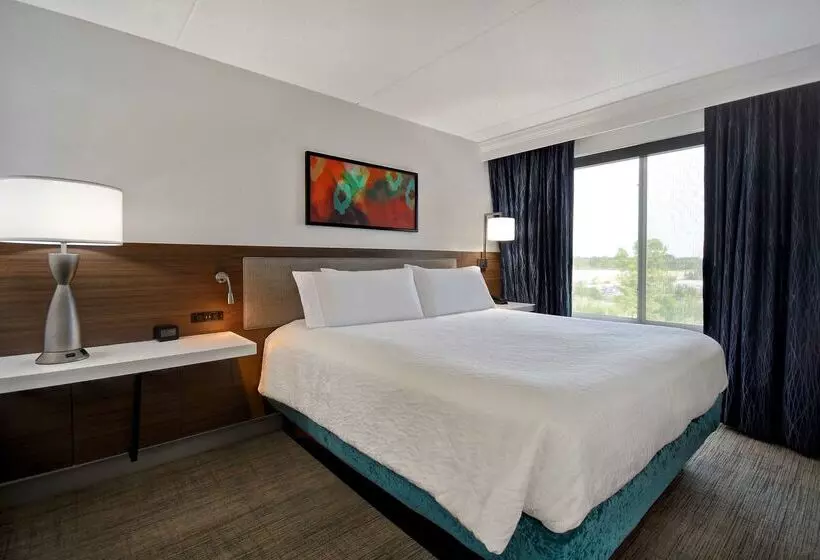 هتل Hilton Garden Inn Detroit Metro Airport