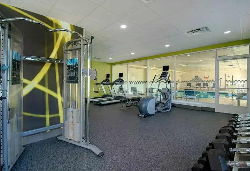 هتل Hilton Garden Inn Detroit Metro Airport