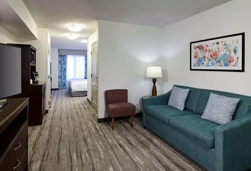 בית מלון כפרי Hilton Garden Inn Merrillville