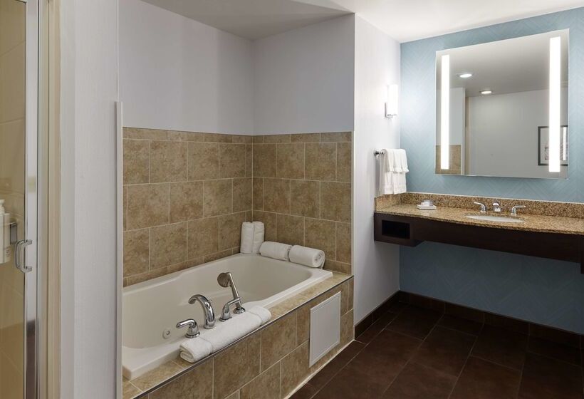 酒店 Hilton Garden Inn Merrillville