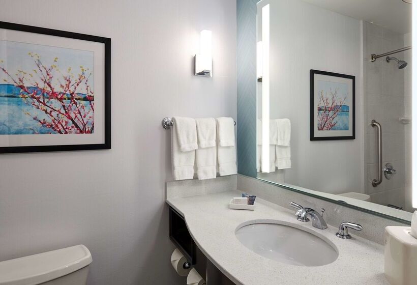 酒店 Hilton Garden Inn Merrillville