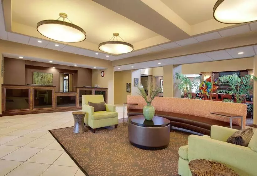 酒店 Homewood Suites By Hilton Tampabrandon