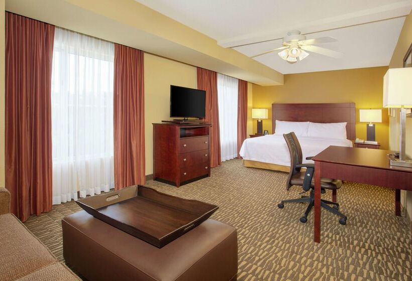 호텔 Homewood Suites By Hilton Tampabrandon