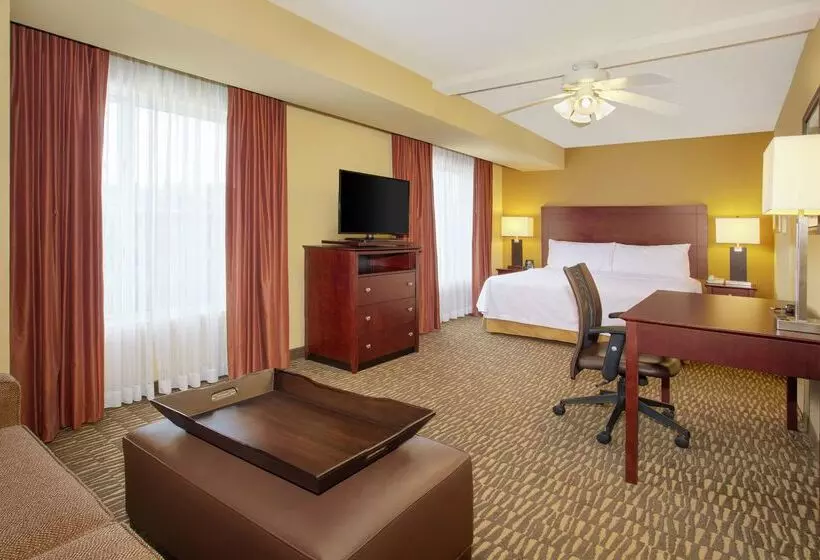 酒店 Homewood Suites By Hilton Tampabrandon