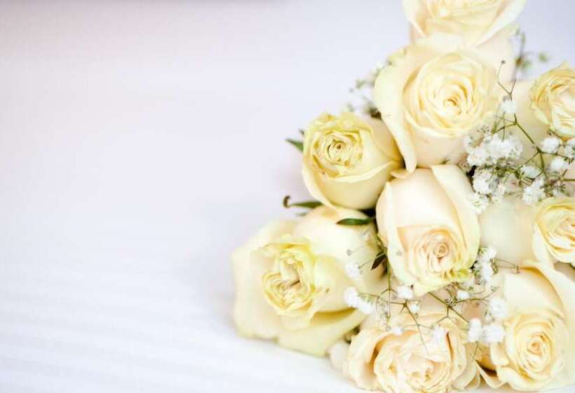 Hôtel Ms Chipichape Plus