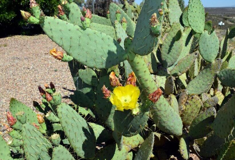 Tombstone Grand Hotel, A Baymont By Wyndham