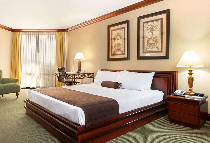 ホテル Wyndham San Jose Herradura