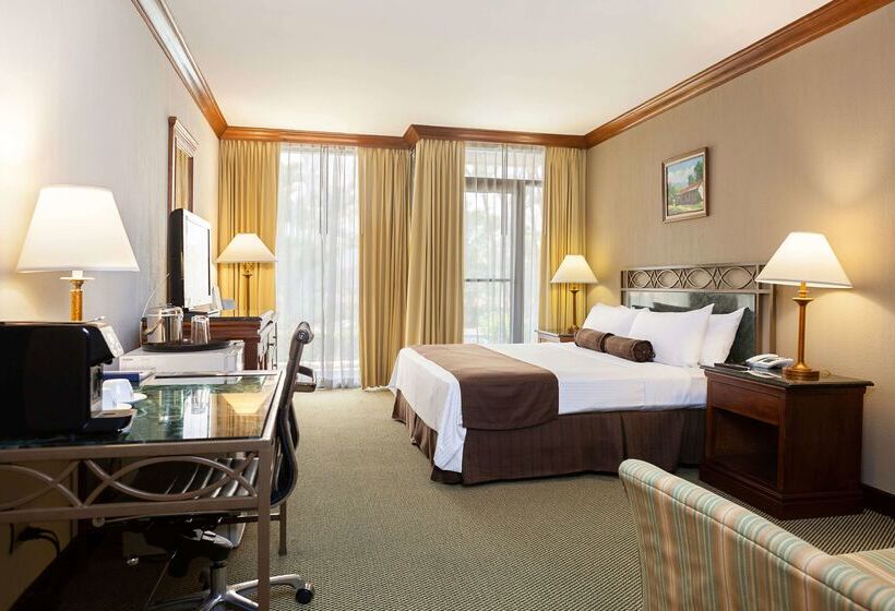 ホテル Wyndham San Jose Herradura