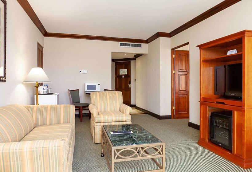 ホテル Wyndham San Jose Herradura