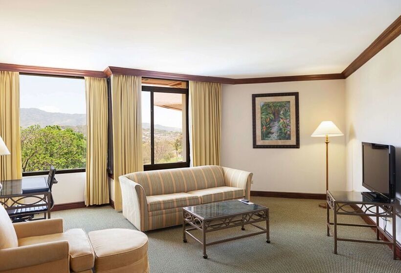 ホテル Wyndham San Jose Herradura