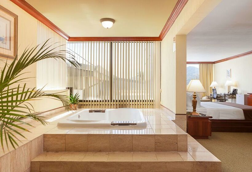 ホテル Wyndham San Jose Herradura