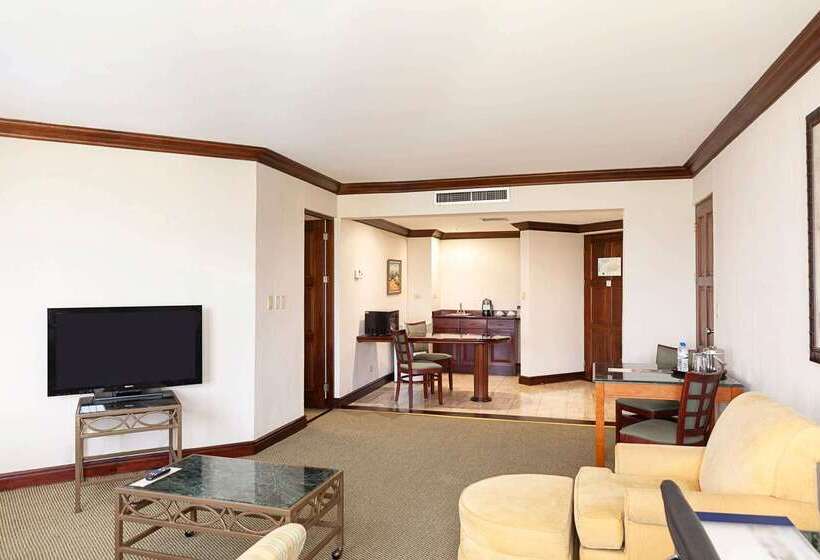 ホテル Wyndham San Jose Herradura