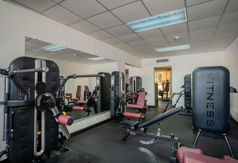 ホテル Wyndham San Jose Herradura