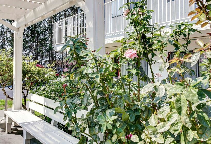 Motel 6 Grants Pass, Or