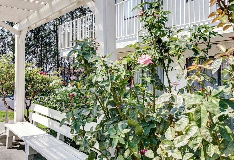 Motel 6 Grants Pass, Or