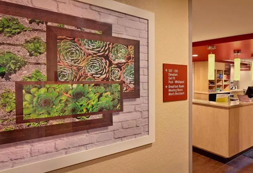 Towneplace Suites By Marriott Albany Downtown/medical Center