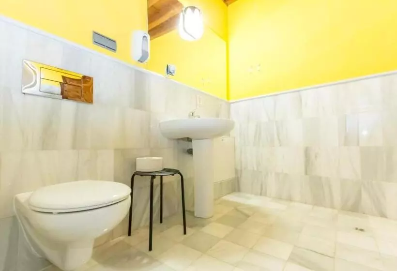 هاستل White Nest