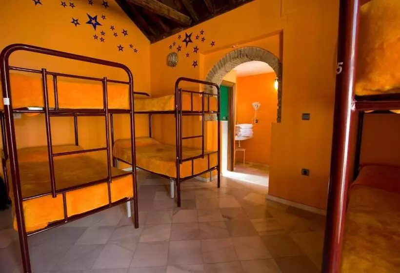 هاستل White Nest