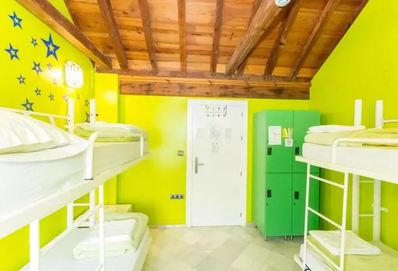 هاستل White Nest