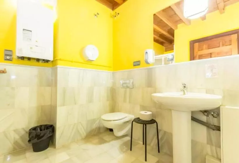 هاستل White Nest