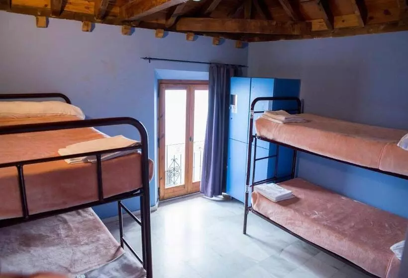 هاستل White Nest