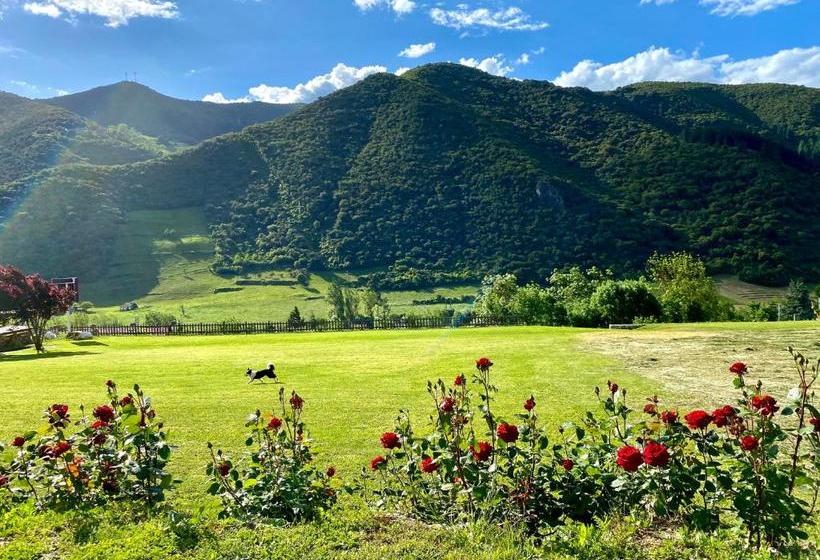 Apartamentos Alquitara